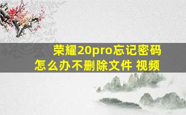 荣耀20pro忘记密码怎么办不删除文件 视频